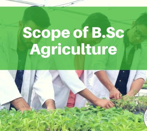 B.Sc.(Hons) Agriculture